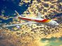 A340-300 Iberia sc.1-100